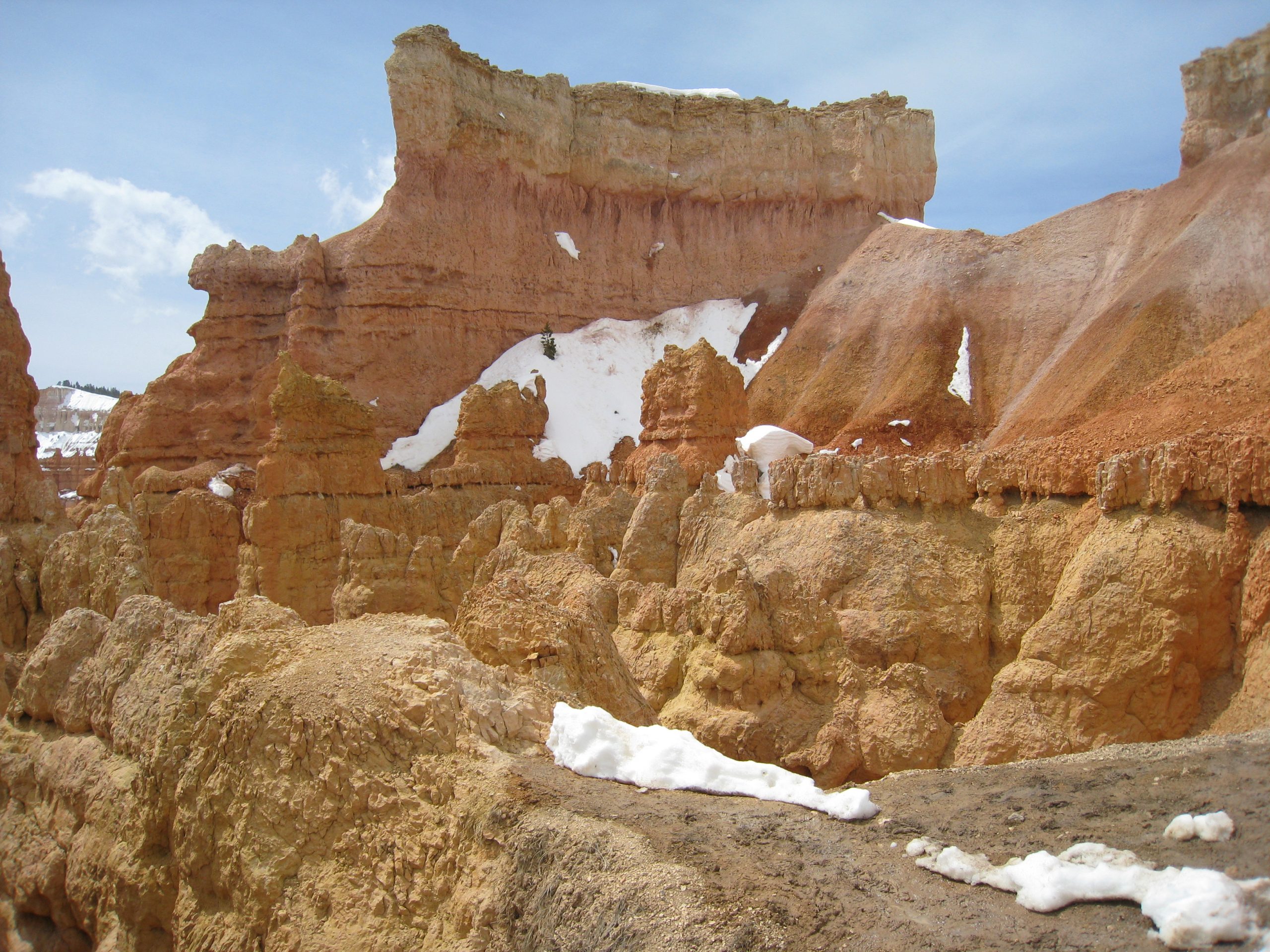 IMG_0510 Cannonville Utah